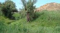 DSC02474.JPG