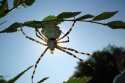 DSC03105.JPG
