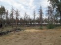 IMG_1647.jpg