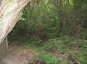 IMG_1663.jpg