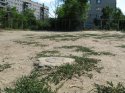 nevskaya18a_2.JPG