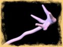 chicken_hand.jpg