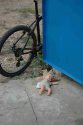 DSC_9762.jpg