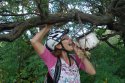 DSC05246.JPGу.jpg