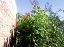 Фото014.jpg