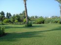 DSC00908_thumb.jpg
