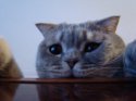 DSC02632.JPG