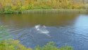 A_DSC07723.jpg