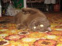 IMG_3762.jpg