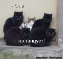 news.txtd.jpg