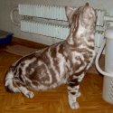 DSCN5588.jpg