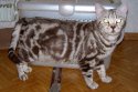 DSCN5592.jpg