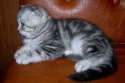 DSCN5612.jpg