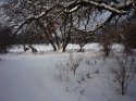 06 Пейзаж 3.jpg