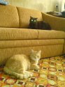 DSC01276.JPG