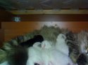 270220101534.jpg