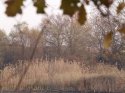 autumn01.jpg