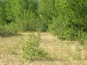DSCN1449.JPG