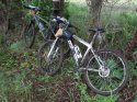 DSC07418.JPG