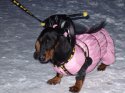 DSCF7071.JPG