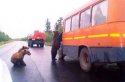 clip_image004.jpg
