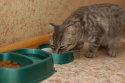 DSC_8621.JPG