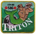 586.jpg