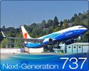 737.jpg