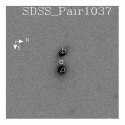1037.gif
