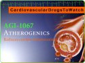 agi1067.jpg
