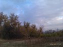 IMAG0043.jpg