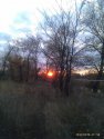 IMAG0142.jpg