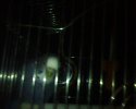 IMG0043A.jpg