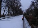Первый снег.jpg