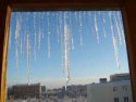 DSC07010.jpg