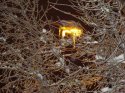 DSC07014.jpg