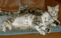 DSCN7907.jpg