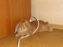 DSC09818-1.JPG