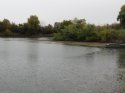 IMG_3471.jpg