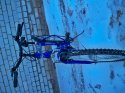 100_2247.jpg