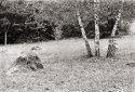 foto10.jpg