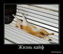 жизнь-кайф.jpg