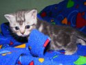 DSCF4497.JPG