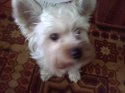 IMG20110429_004.jpg