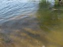 2011.05.08-11.39.55.jpg