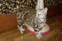 DSCN8379.jpg
