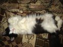 DSC02386.JPG