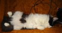 DSC02465.JPG