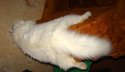 DSC02476.JPG
