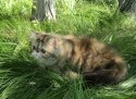 DSC05654.JPG